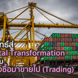 Digtail Transformation - Trading