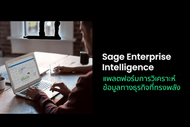 Sage Enterprise Intelligence