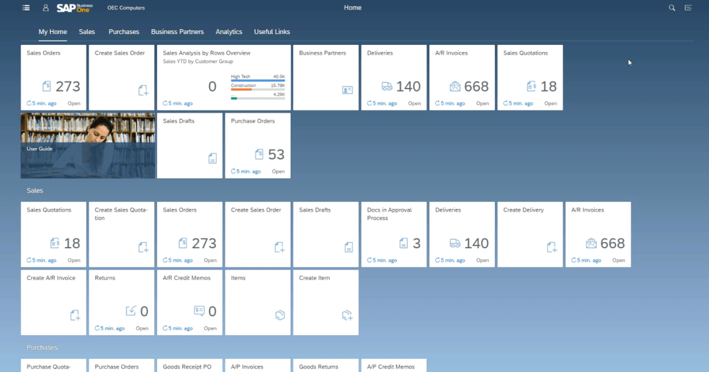 SAP Business One - Start-Web-Client