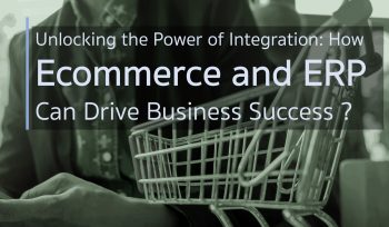 Unlocking the Power of Integration- How Ecommerce and ERP Can Drive Business Success